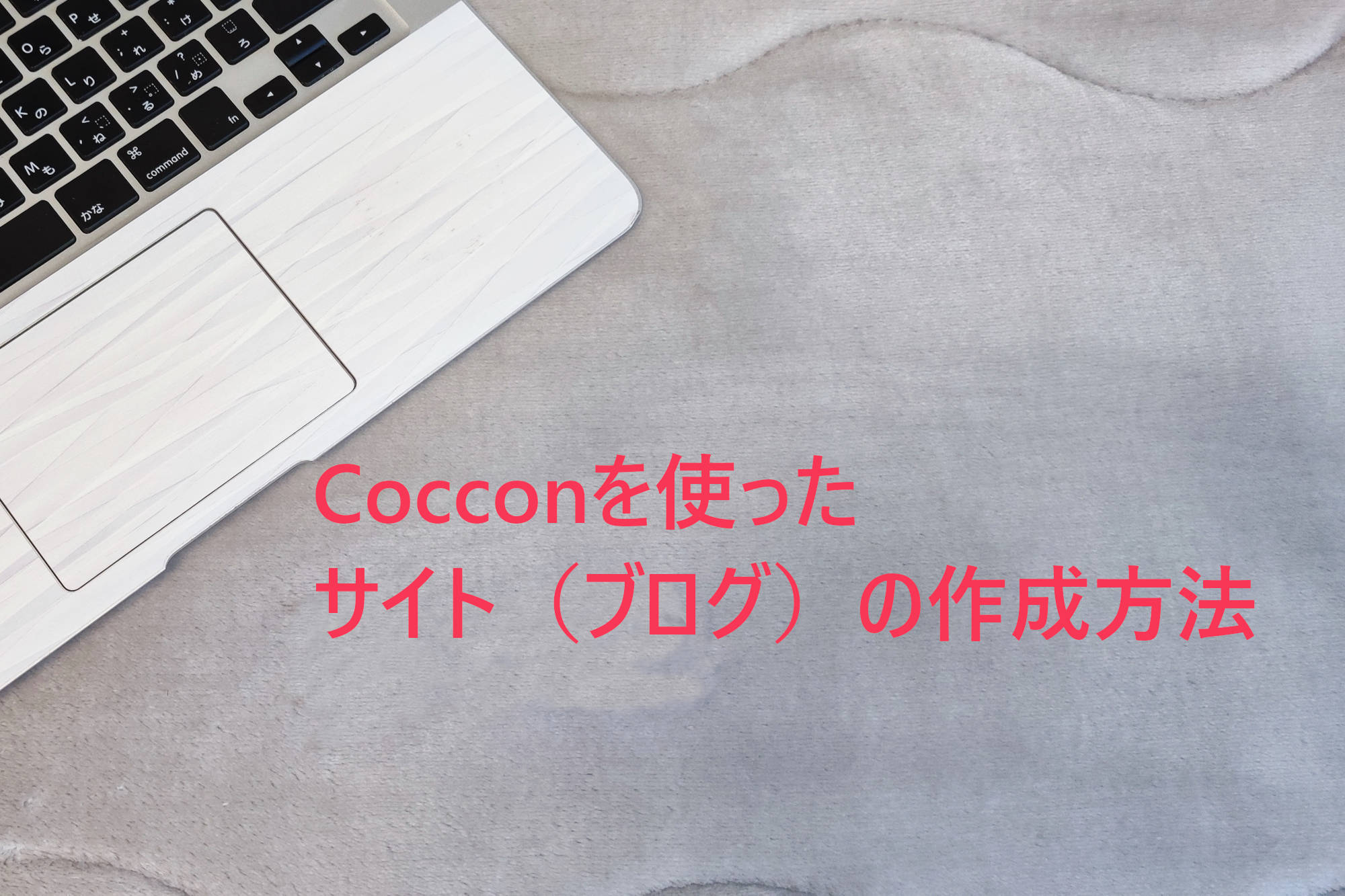 Cocoon(コクーン)をインストールしてブログを公開する方法【WordPressテーマ】