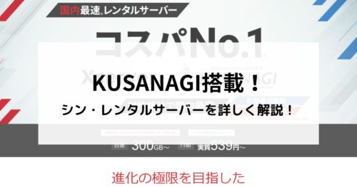 シンレンタルサーバーの料金や特徴、メリット・デメリット、評判を詳しく解説!