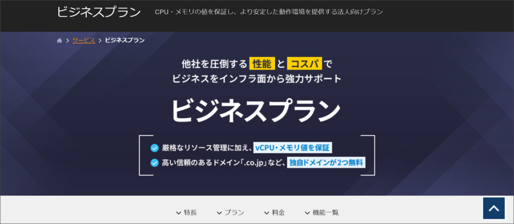 シンレンタルサーバーのビジネスプラン