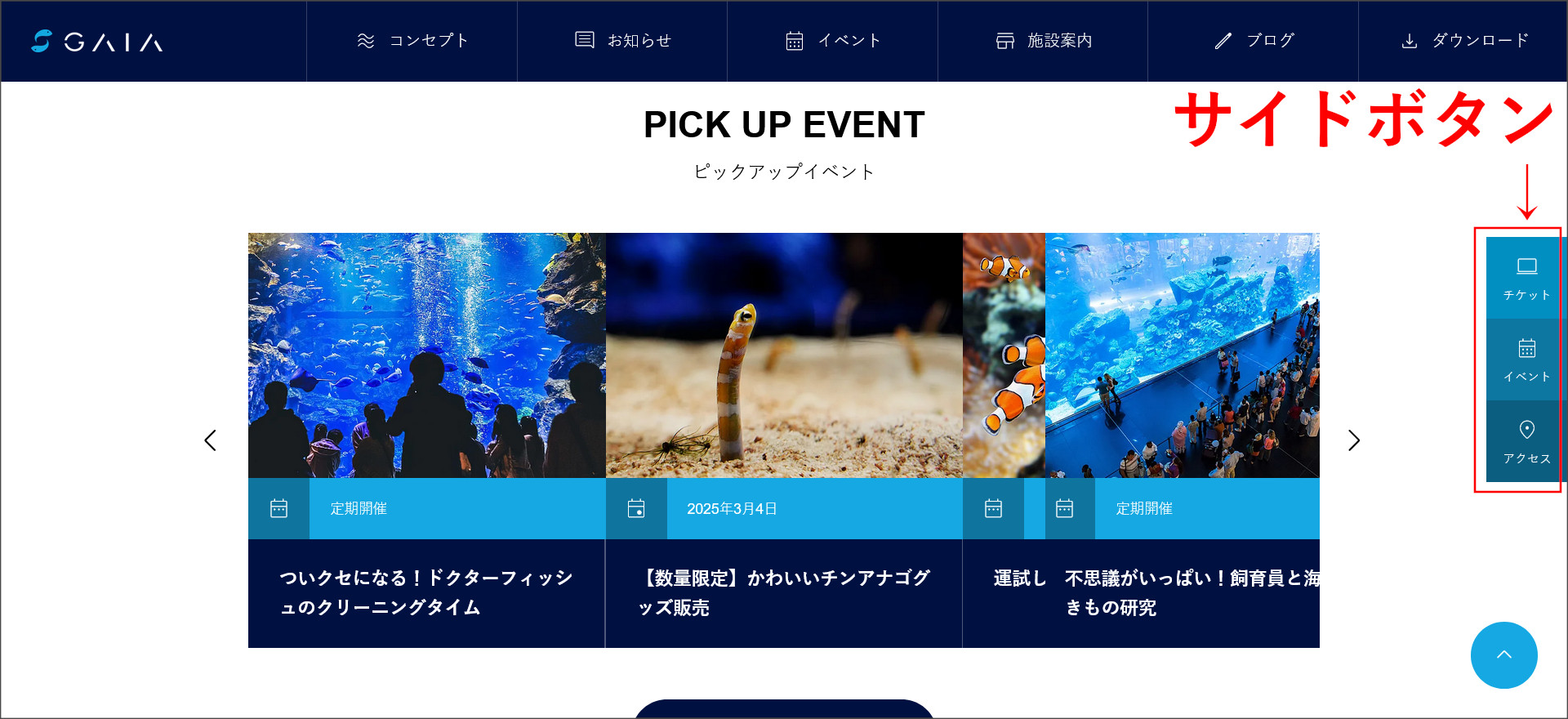 GAIAのサイドボタン