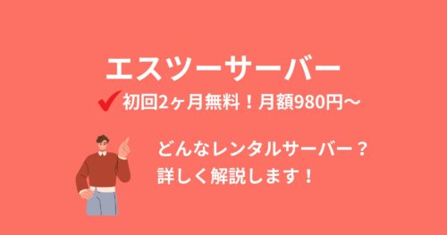 2ヶ月無料!エスツーサーバーは充実サポートで法人も安心!